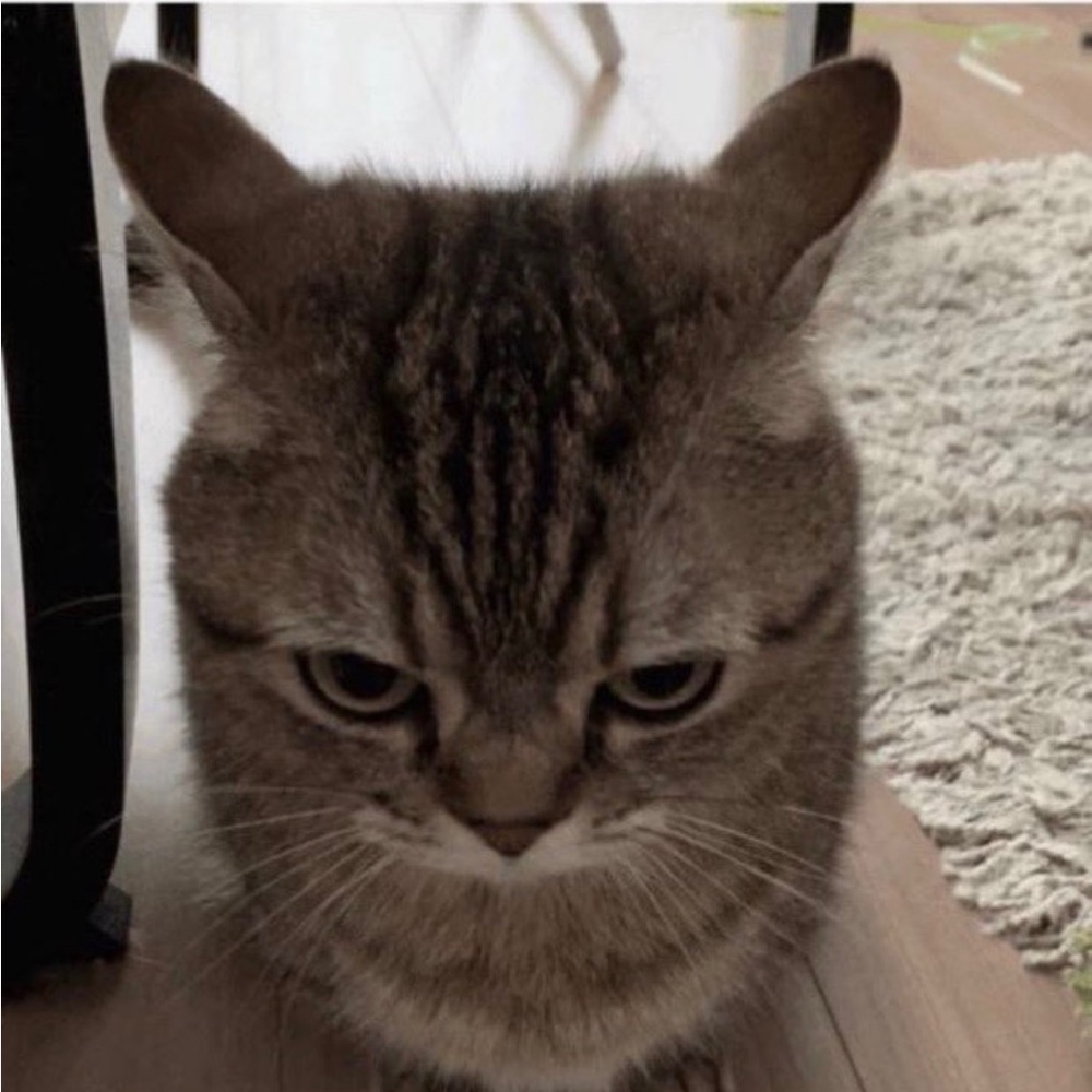 Meet your Posher, Joddie05